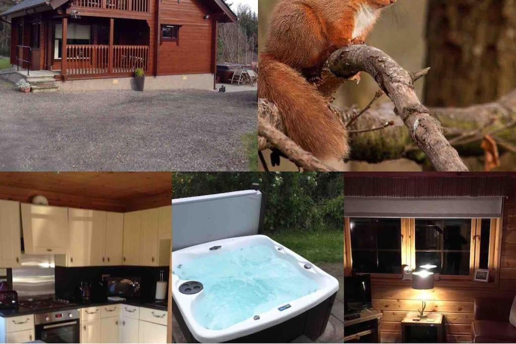 Red Squirrel Log Cabin With Hot Tub Keith Bagian luar foto
